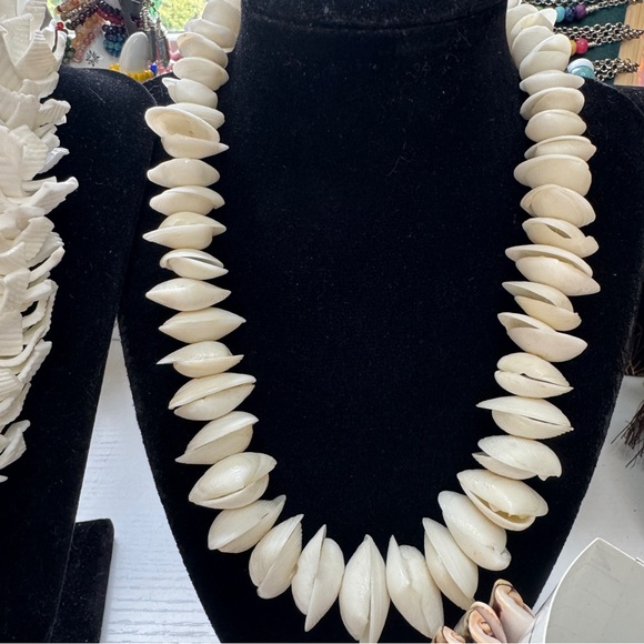 Vintage Shell Lot. - Picture 5 of 6